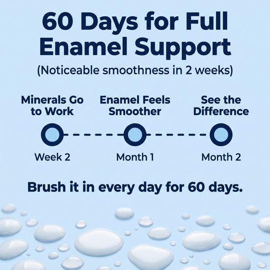 PureReach Dental Tooth Armor