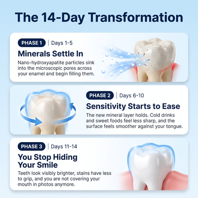 PureReach Dental Tooth Armor